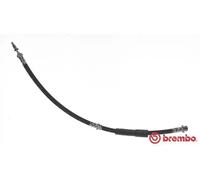 Brembo T 24 093 Accesorios y Mangueras de Frenos