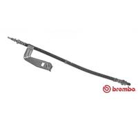 Tubo de freno flexible T 24 096 BREMBO para FORD MAZDA