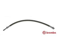 Tubo de freno flexible T 50 032 BREMBO para MERCEDES-BENZ VW