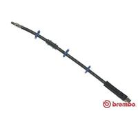 Tubo de freno flexible T 61 009 BREMBO para CITROËN PEUGEOT FIAT ALFA ROMEO
