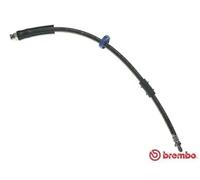 Tubo de freno flexible T 61 031 BREMBO para FIAT PEUGEOT CITROËN