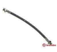 Tubo de freno flexible T 61 038 BREMBO para CITROËN PEUGEOT