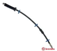 Tubo de freno flexible T 61 066 BREMBO para FIAT PEUGEOT CITROËN