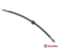 Brembo T 68 030 Accesorios y Mangueras de Frenos