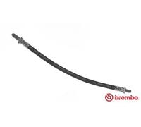 Tubo de freno flexible T 71 003 BREMBO para SAAB 90 99 900 I Combi Coupe 900 I
