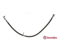 Tubo de freno flexible T 83 098 BREMBO para TOYOTA COROLLA AVENSIS Station Wagon