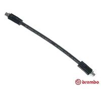 Tubo de freno flexible T 85 034 BREMBO para AUDI 80 B3 Sedán COUPE B2 COUPE B3