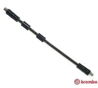 Tubo de freno flexible T 85 041 BREMBO para AUDI VW