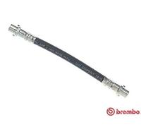 Frenado > Hidráulica > Latiguillo de freno