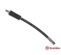Tubo de freno flexible T 85 066 BREMBO para AUDI 100 C3 Sedán 200 C3 Sedán V8