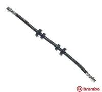 Tubo de freno flexible T 85 103 BREMBO para VW TRANSPORTER T4 Autobús