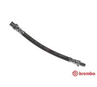 Tubo de freno flexible T 85 118 BREMBO para AUDI A6 C4 A6 C4 Avant