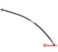 Tubo de freno flexible T 86 002 BREMBO para MITSUBISHI VOLVO
