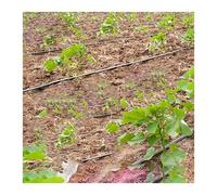 Tubo de microirrigación por goteo, Espacio plano 100-400m m los 20-100m del emisor grueso de la tubería 0,2m irrigación cinta goteo DN16 PE(Space 200mm,DN16 50 Meters)