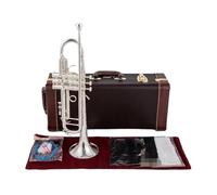 Tubo De Trompeta Plateado, Instrumento Plano De Latón Para Estudiantes, Instrumento Musical De Trompeta