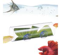 - Tubo de túnel - Pasaje de visualización Transparente, de Hoja de, escondite Compacto | Estructura de Material acrílico no tóxico, Dispositivo de depósito de Soporte Simple bajo el Agua