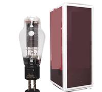 Tubo de vacío 4300B Que reemplaza a los amplificadores de válvulas electrónicas 300B, WE300B, 300BN, 300BT y 300BZ.(2pcs Matched Pair)