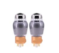 Tubo de vacío CV181-TII de 1/2/4 piezas(2 piece CV181-TII)