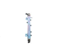 Elementos de sistema CR BOSCH 0 445 224 055