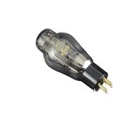 Tubo electrónico 4300B con Placa de Titanio y Rejilla Dorada Que reemplaza al WE300B 300B 300B Compatible(One Matched Pair)