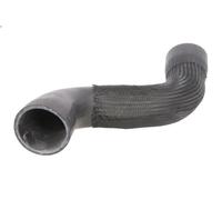 Tubo flexible de aire de sobrealimentación THERMOTEC DCA026TT A5 (8T3) 2 2008-