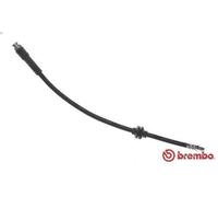 Tubo flexible de frenos BREMBO T 23 187 para PEUGEOT BOXER Autobús 3 2006-2015
