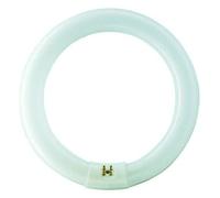 TUBO FLUORESCENTE CIRCULAR 22W Ø21cm TRIFOSFORO 840K LUZ DIA PHILIPS