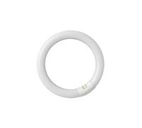 GSC Tubo fluorescente circular 22W T9 6400K 2000589
