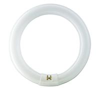 TUBO FLUORESCENTE CIRCULAR 32W Ø30cm TRIFOSFORO 830K LUZ CALIDA PHILIPS