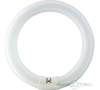 Philips Aro fluor. G10q 32W 840 Master Circular TL-E EC:EPREL:423509
