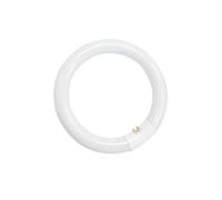 Tubo fluorescente circular 32W T9 6400K GSC 2000590