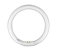 Tubo fluorescente circular t9 22w luz 6500k