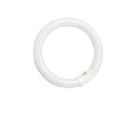 Tubo fluorescente circular T9 40W G10q 6400K