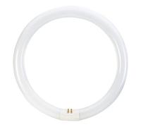 Tubo fluorescente circular trifósforo 40W T9 230V 6500K 2900Lm Ref. 216-4-181