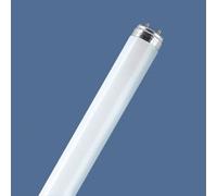 Tubo fluorescente OSRAM LUMILUX, G13 T8, 150 cm 4000 K 58 W
