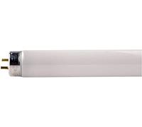 TUBO FLUORESCENTE Philips 18W, T8 590mm G13, 865 6500K