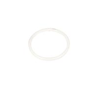 Tubo fluorescente redondo G10q 40W 840 MASTER TL-E 928027484070