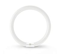 Tubo Fluorescente Redondo T9 G10Q de Ahorro De Energía, Tubo de Neón de 32W, Blanco Frío 6500K, Luz de Anillo de Ahorro de Energía, Adecuado para Cocina, Pasillo, Escalera, Dormitorio, 1 Pieza