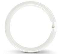 Tubo Fluorescente Redondo T9 G10Q de Bajo Consumo, 40cm, Tubo de Neón de 40W, Blanco Frío 6500K, No Regulable, Adecuado para Cocina, Pasillo, Escaleras, Dormitorio, Pasillo, Lámpara de Techo, 1 pieza