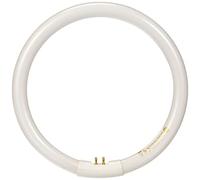Tubo fluorescente Tipo T5 6.400 K 16 mm Electro DH. Color Blanco Dia 80.355/T5/22/DIA 8430552116850