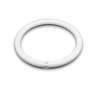 Tubo LED circular 15W 6500K, 215mm - Iluminación eficiente para hogares y oficinas, ideal para ambientes luminosos.