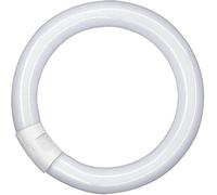 Tubo LED Circular T9 G10Q 11W 6500K 212mm para iluminación eficiente en espacios comerciales y hogares.