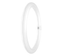 Tubo LED LED TUBE T9 C 32 EM VALUE 18.3W 830 G10Q 4099854042508