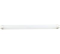 Tubo LED recambio 60 cm, 12W, 4000K, 120° de ángulo, energéticamente eficiente, ideal para iluminación general y ahorro energético.