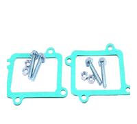 tubo lengüeta carburador Jaula Del Sistema De Válvula De Lengüeta Apta Para Placa De Admisión De Carburador Para Yamaha YZ125 Aleación De Aluminio válvula de lengüeta(Gasket)