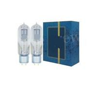 Tubo WE845 Plus 1:1 We 845 845B 845T 845C Amplificador de Tubo for Audio HiFi DIY(2pcs Matched Pair)