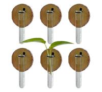 Tubos de propagación de plantas - 6 soportes de madera para sistema hidropónico, soporte para esquejes para plantas, jarrón de tubos de ensayo, para hidroponía, casa, jardín, balcón, terraza