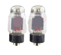 Tubos KT66 de 1/2/4 piezas(2 piece KT66)