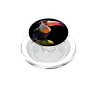 Tucán con Gafas de Sol Selva Sudamérica Tucán Gigante PopSockets PopGrip para MagSafe