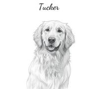 Tucker: The Happiness of a Golden Retriever Captured in Sketches
